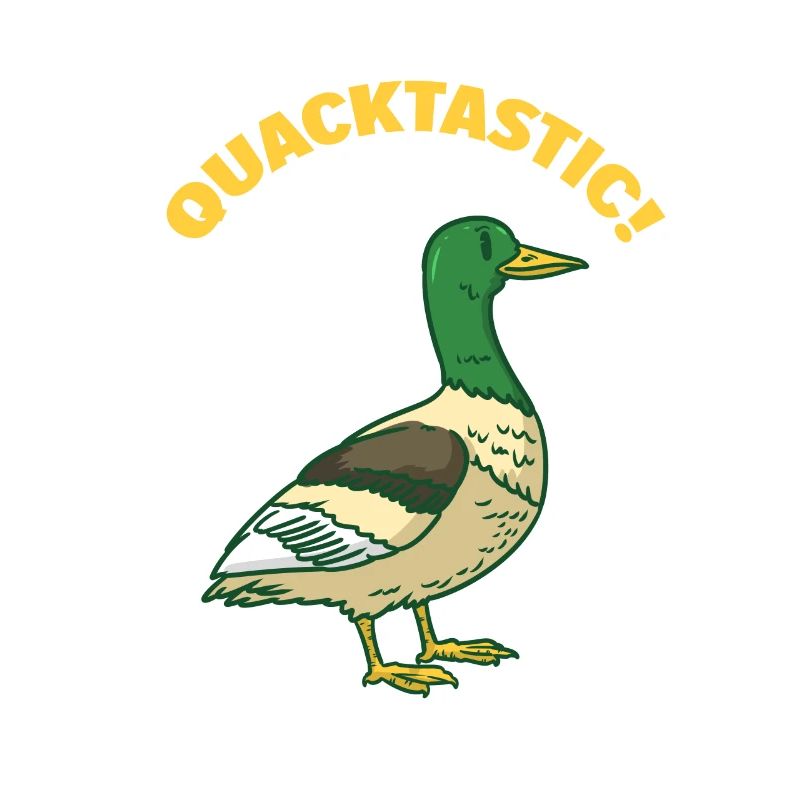 Quack - Quackastic! Duck - wild duck