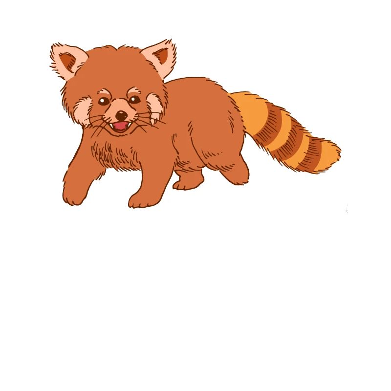 Ours de chat doux Panda rouge Panda rouge