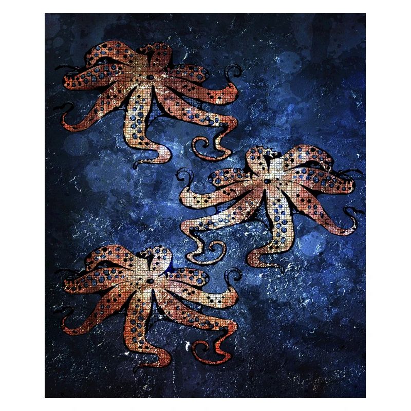 Octopus Krake