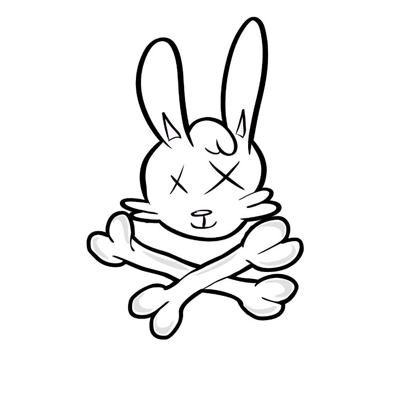 Crâne de lapin