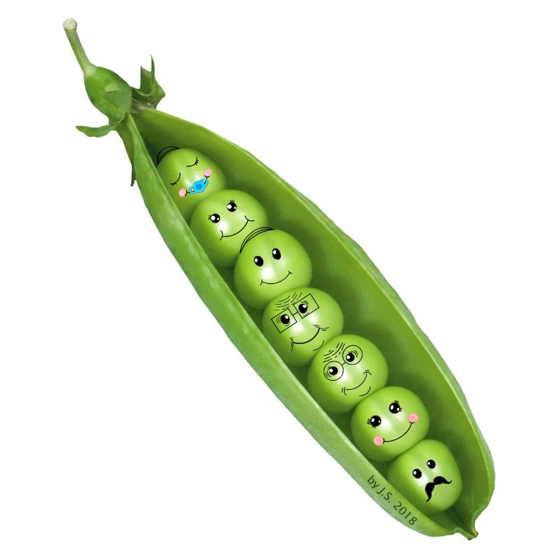 Erbsen