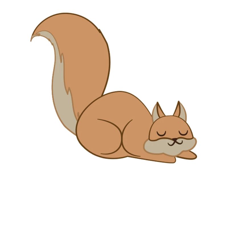 Squirrel - squirrel fan - sleeping