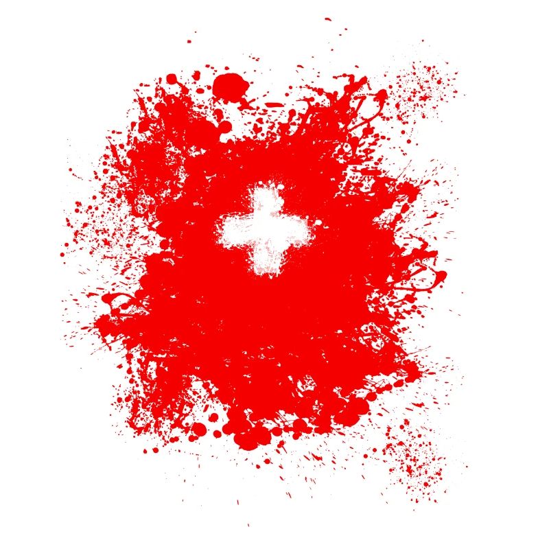 Schweiz Schweizer 1.August Stolz Geschenk