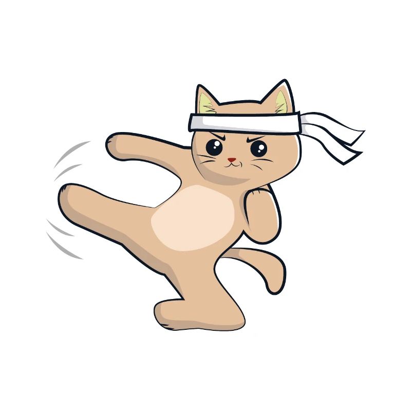 Karate cat / martial arts