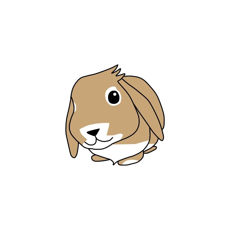 Rabbit - Zwergwidder