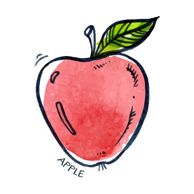 Apple Fruit Fruit Apple Fruit