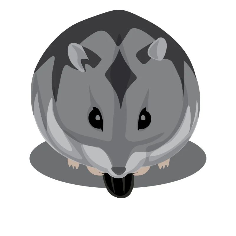 Schwarz und Grau Hamster Essen