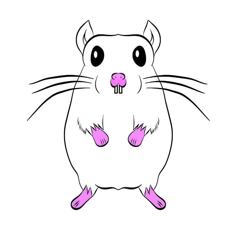 mouse