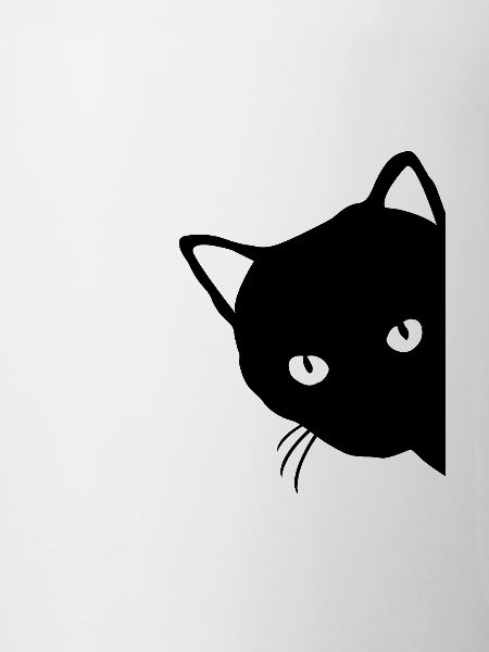 Black cat