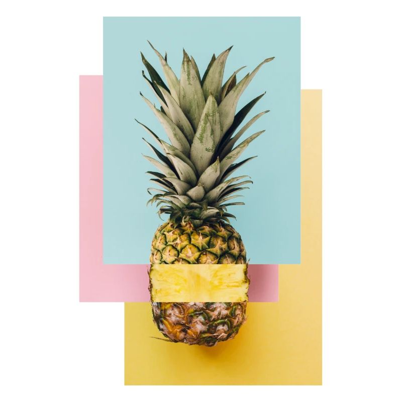 Bunte Ananas / Geschenk Idee