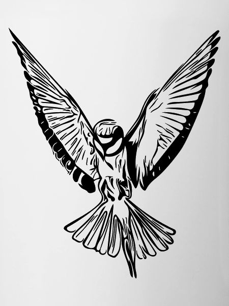 bird