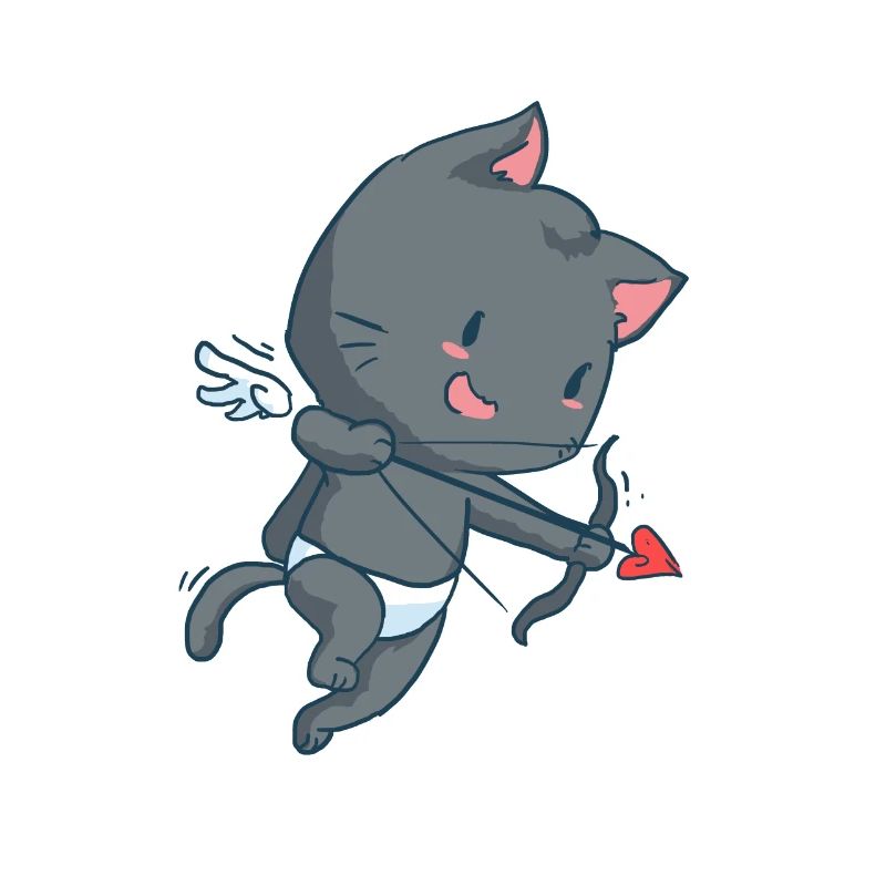 Cupido Katze