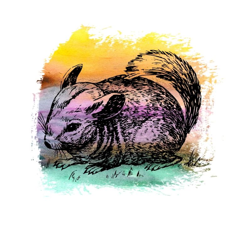 Eichhörnchen eichhörnchen squirrel T Shirt