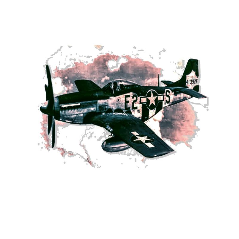 fighter aircraft
