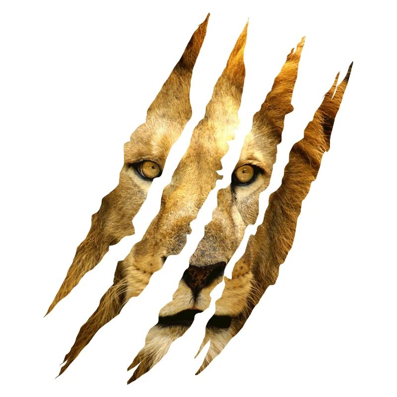 Löwe Krallen