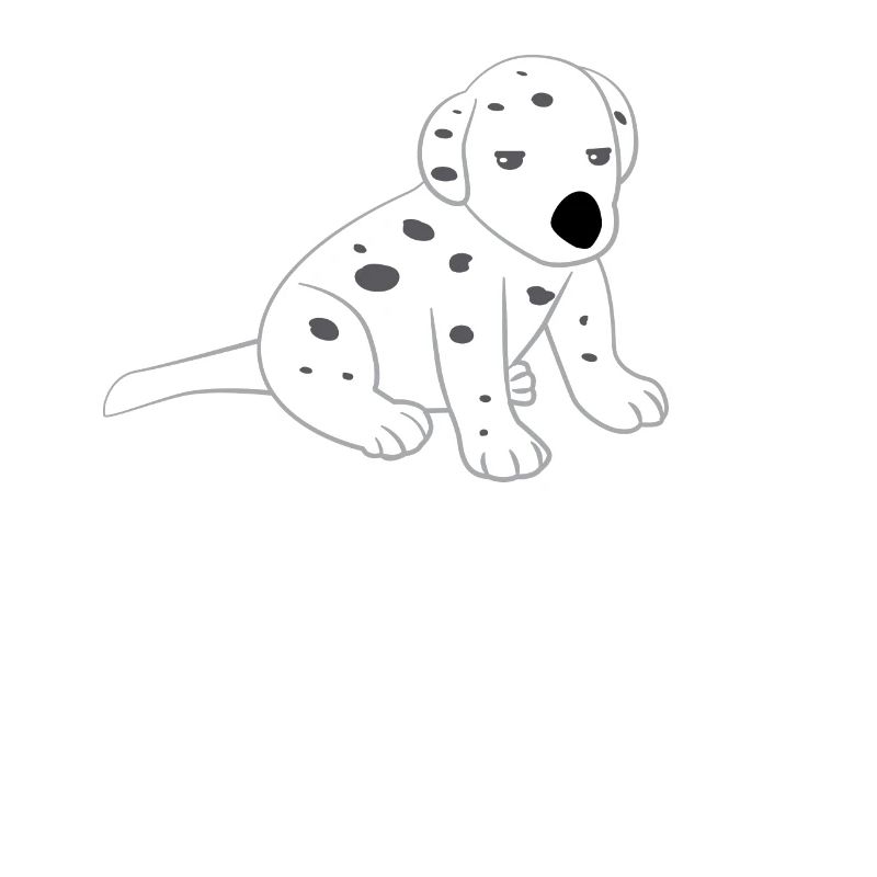 Dalmatien - Dalmatinac - Adolescent