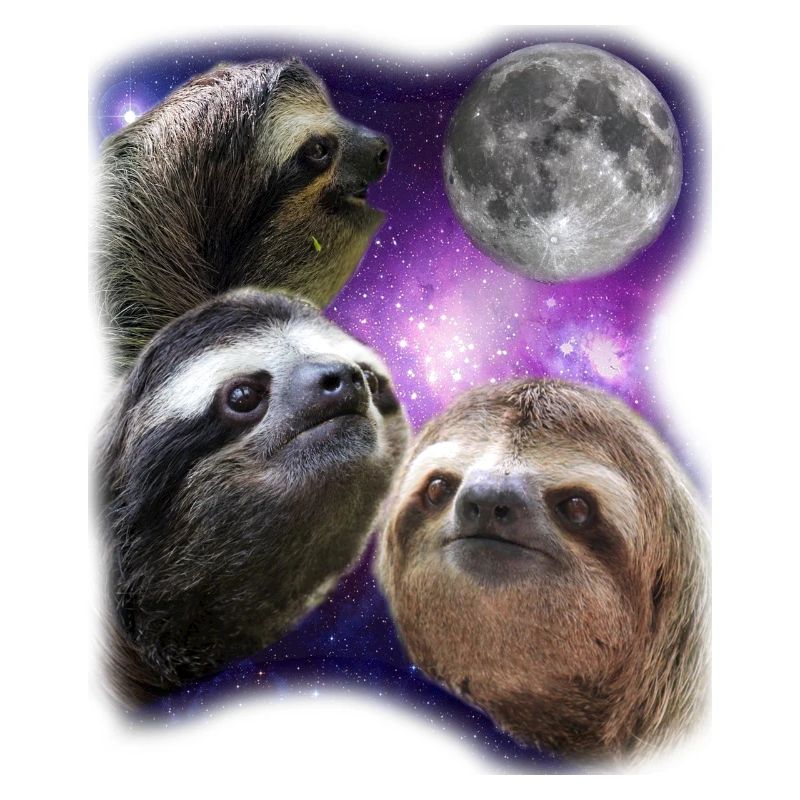 Three Sloths Howling At Moon Like Wolves
