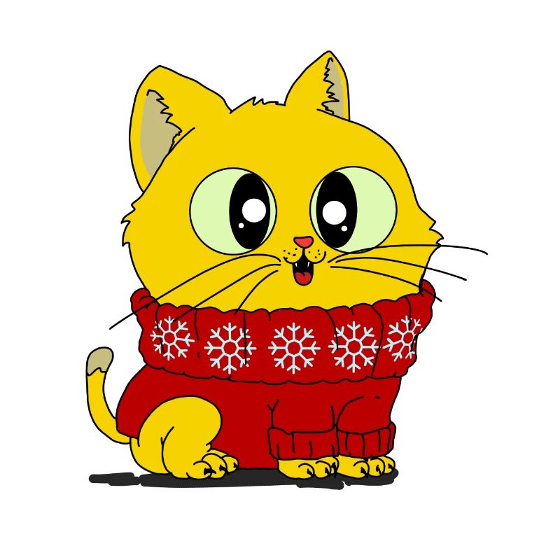 Fluffy kitten in fluffy pullover shirt