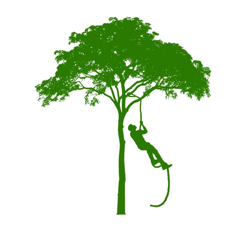 grimpeurs d'arbres