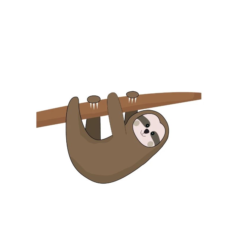 Marathon sloth slow Funny gift