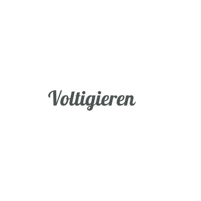 Voltigage