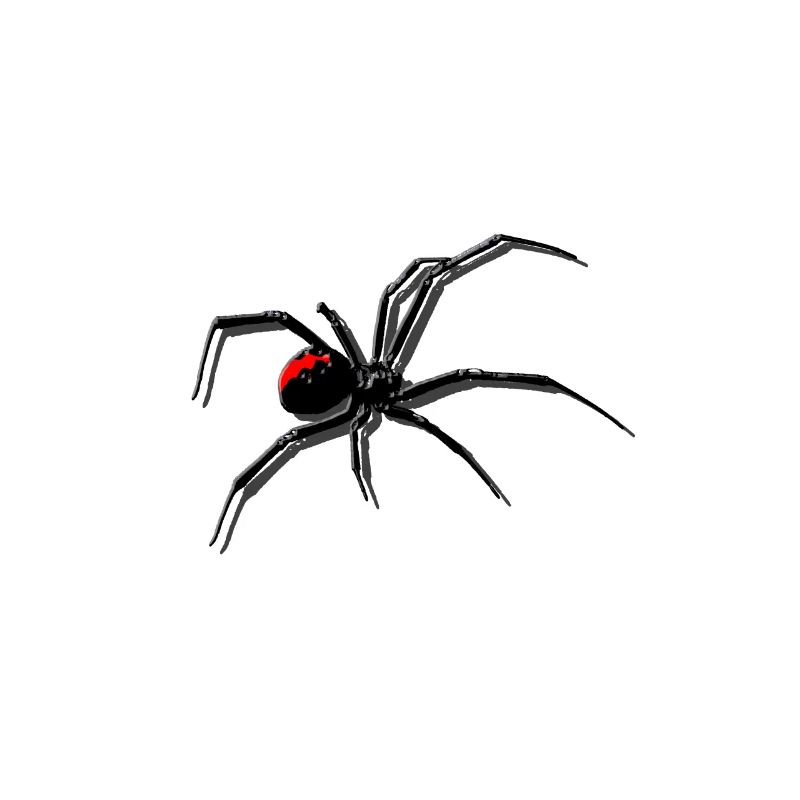 Spinne in 3D - Mit Schatten