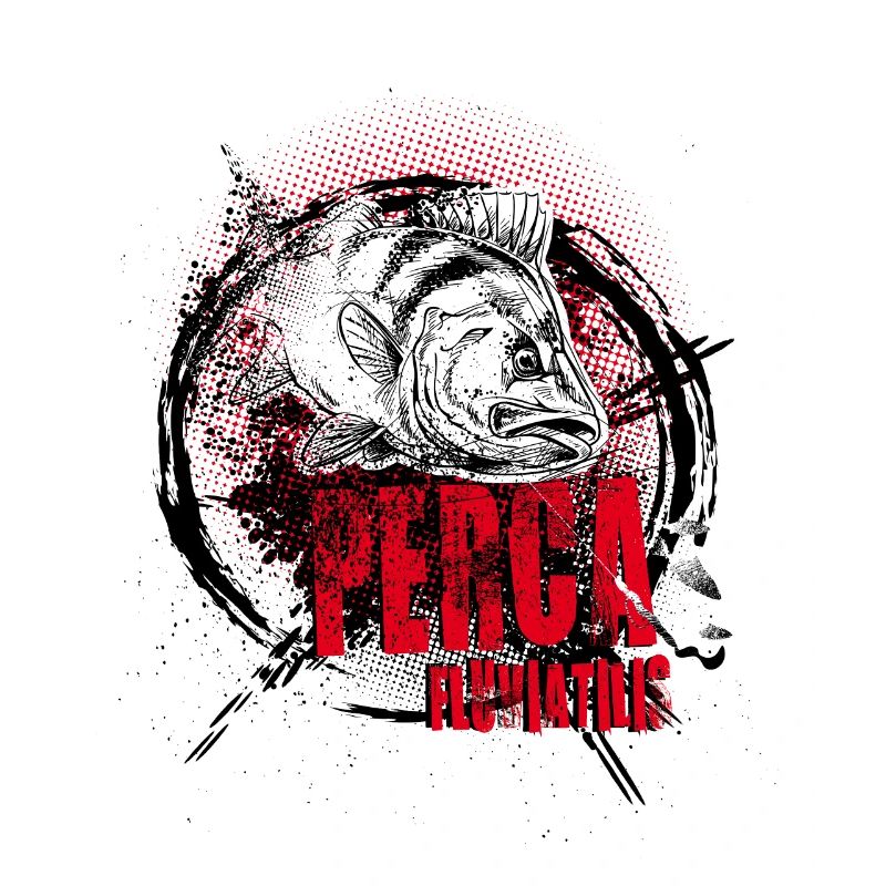 Perch – Perca fluviatilis