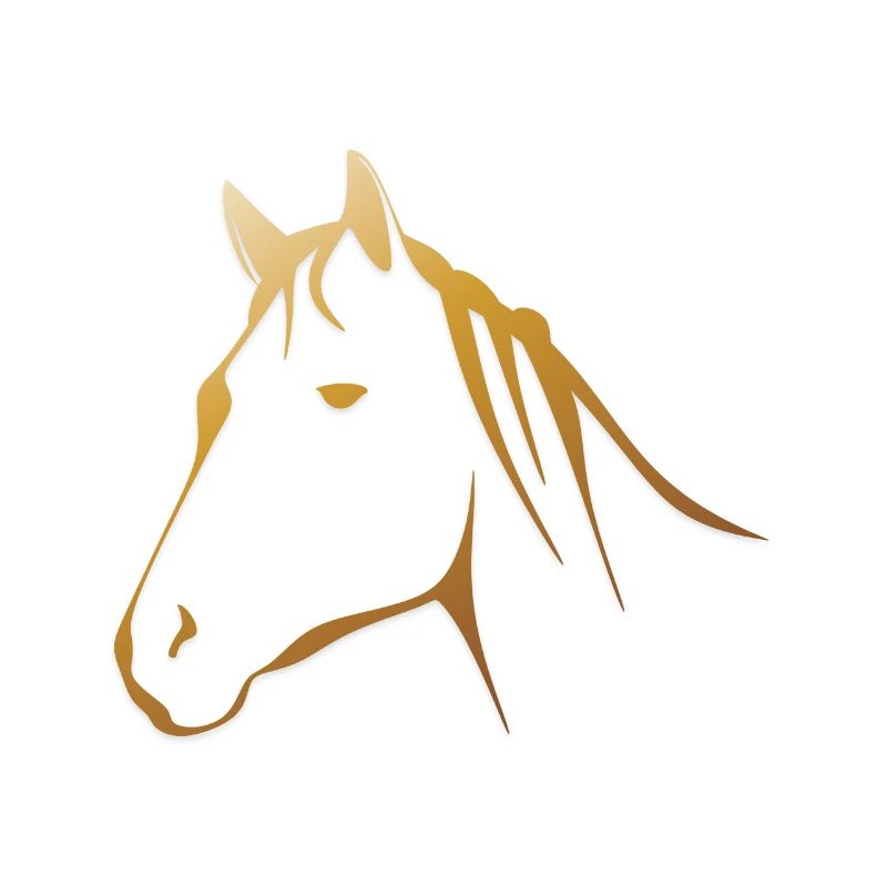 Das Pferde Mädchen mit goldenem Pferd