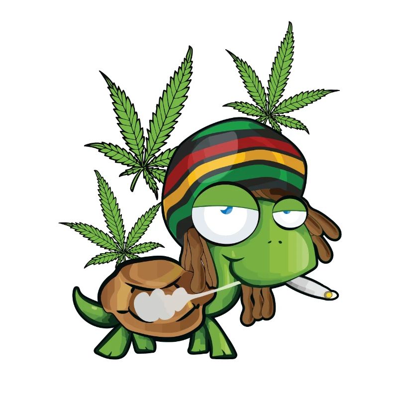 cool funny weeping turtle