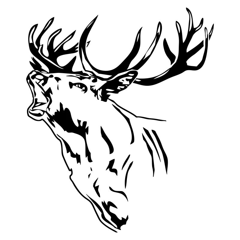 Hirsch - Geweih - Rotwild - Deer - Jagd