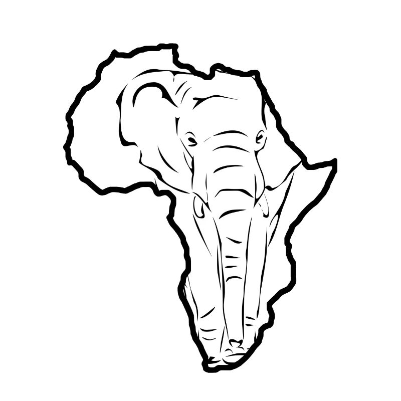 Éléphant en Afrique