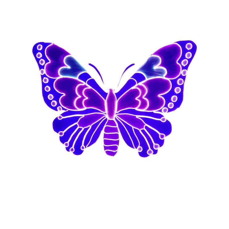 Beau papillon léger