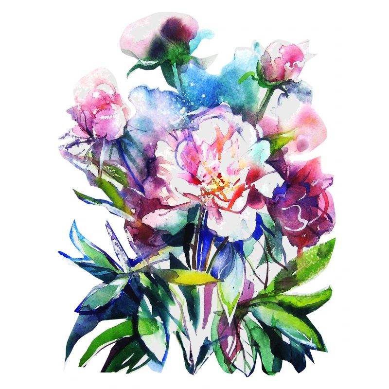 Aquarelle PFURSTROSEN Fleur fleur peony
