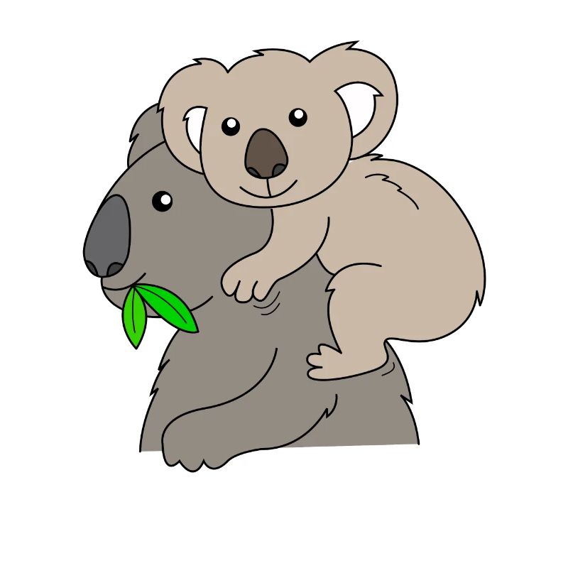 Koala Koala ours
