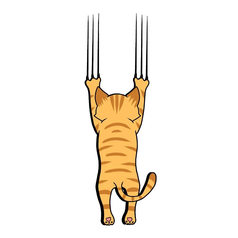 Chat avec des griffes