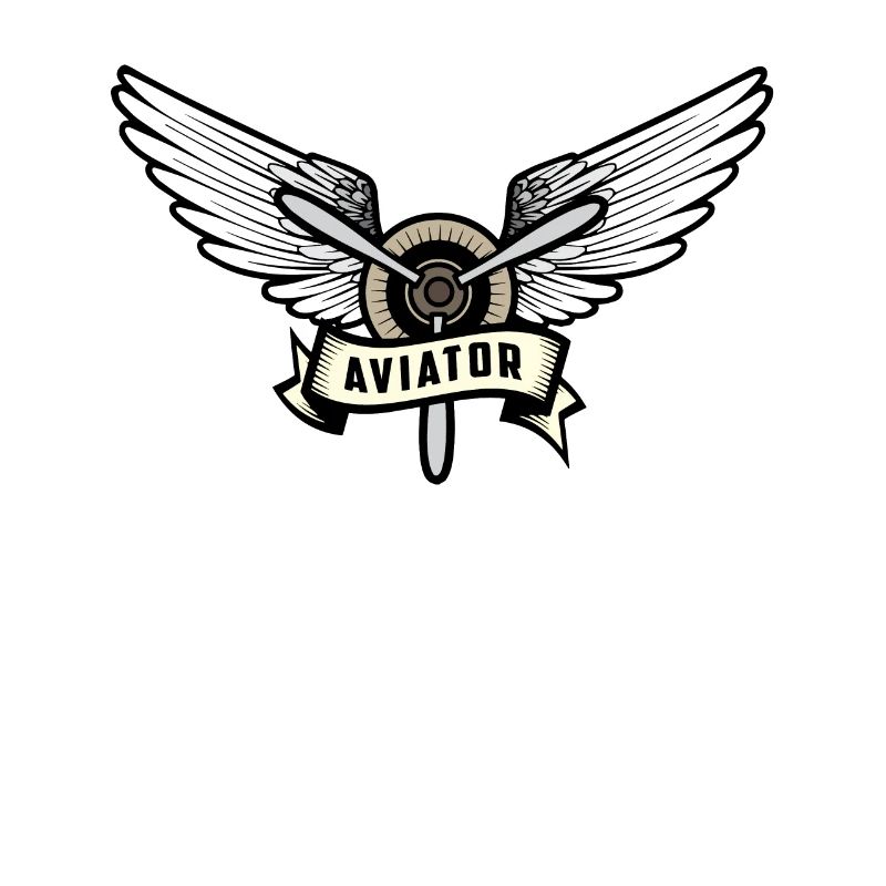 Aviateur pilote