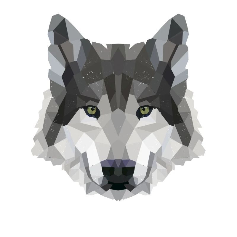 POLYGON WOLF WOLVES HUSKY PACK DOG PACK PACK