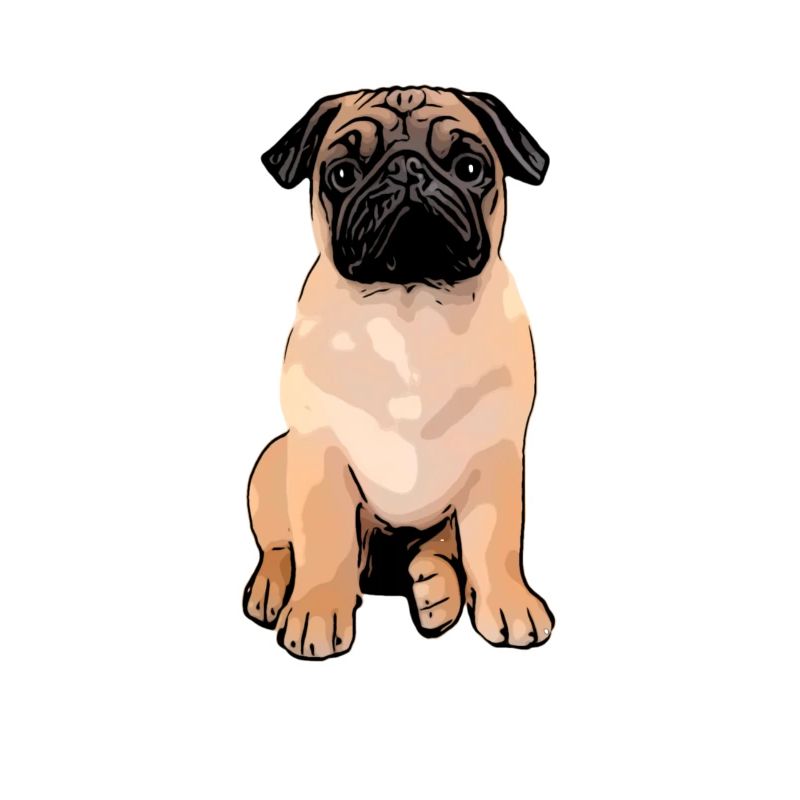 Pug Pug Pug
