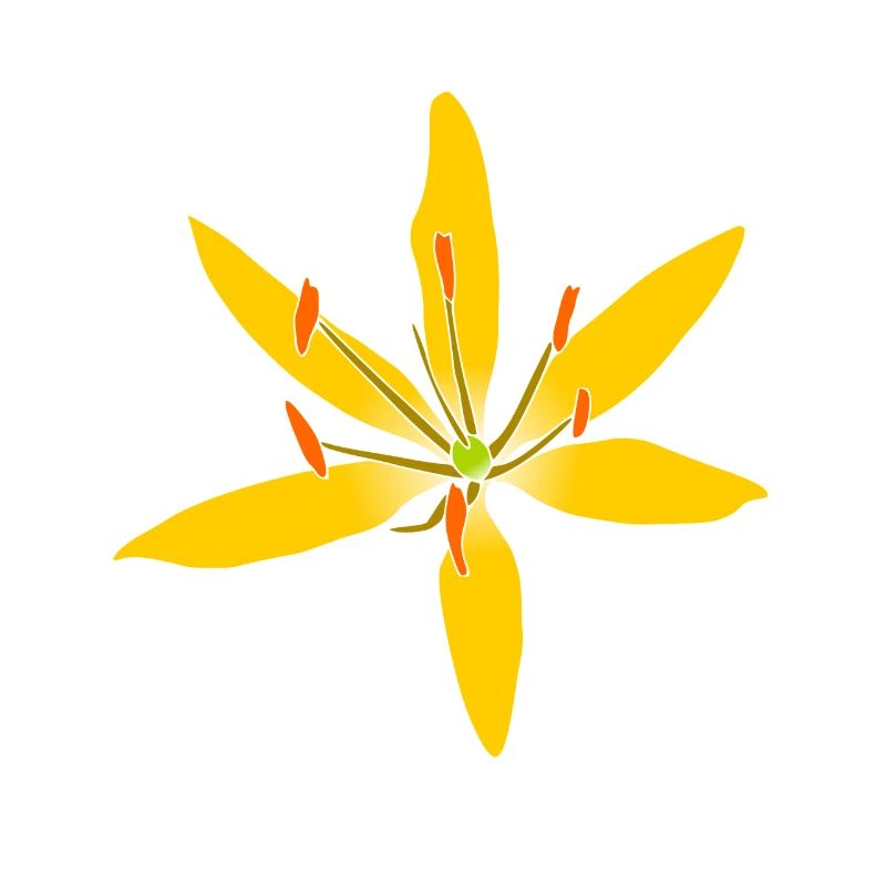 fleur jaune merveilleuse, fleur