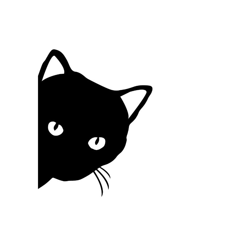 Black cat