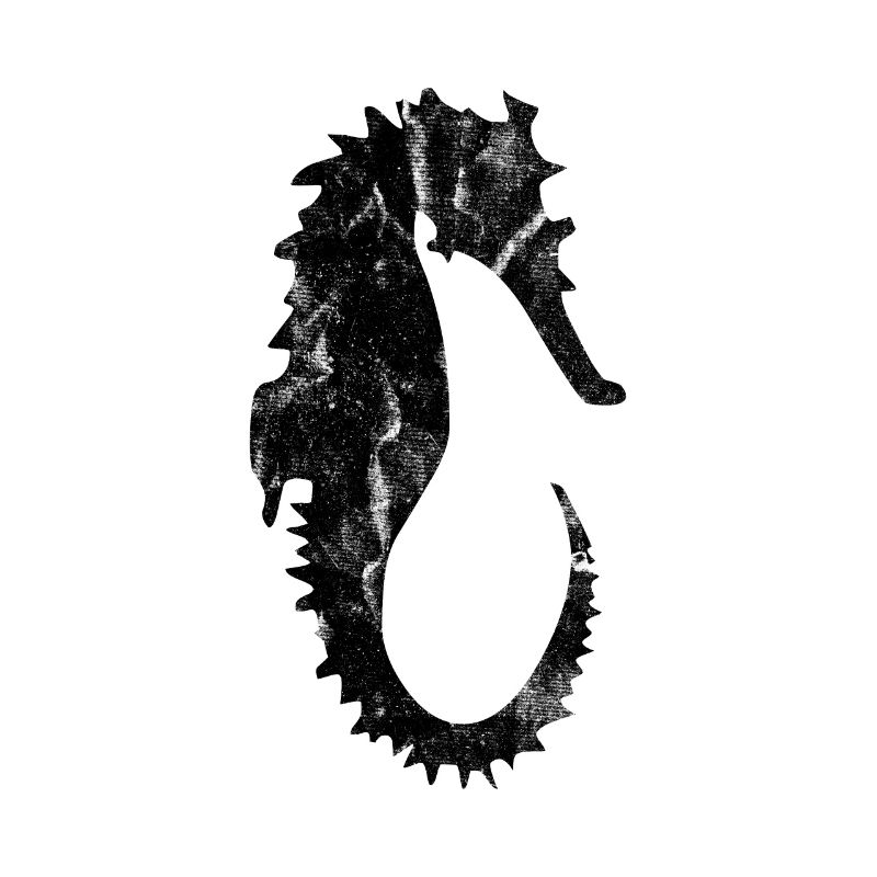 Hippocampe