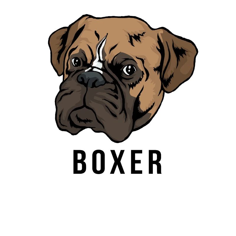 Boxer tête de chien