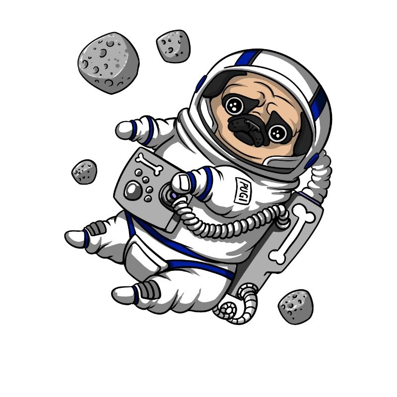 Animal de compagnie astronaute