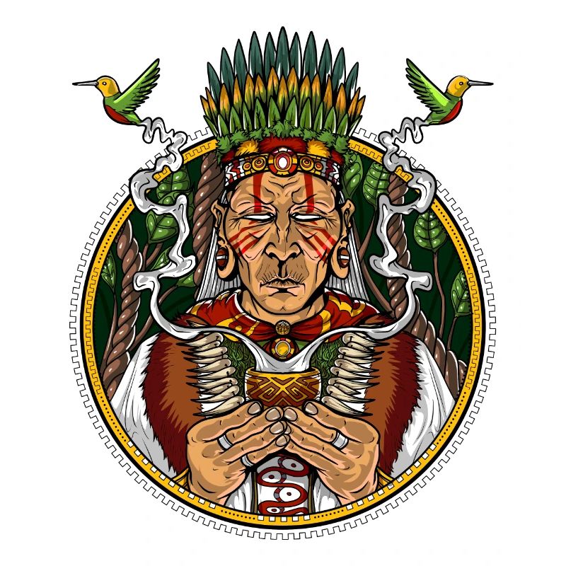 Ayahuasca DMT Shaman Psychedelic Trip