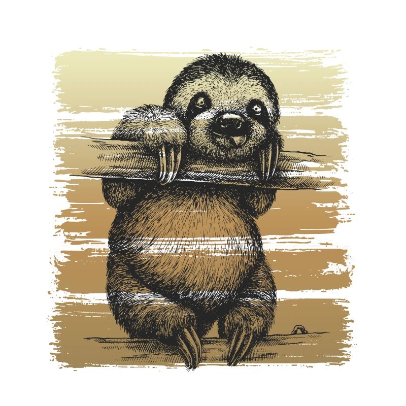 Sloth sloth