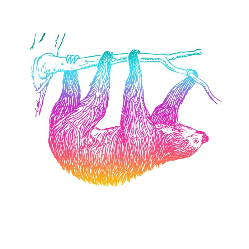Sloth sloth retro
