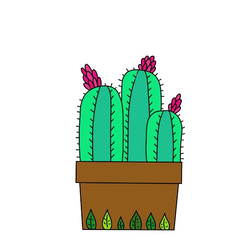 Flowering Cactus à Leafy Pot