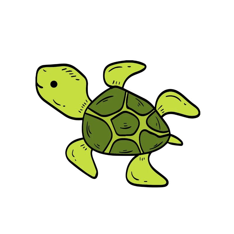 Schildkröte