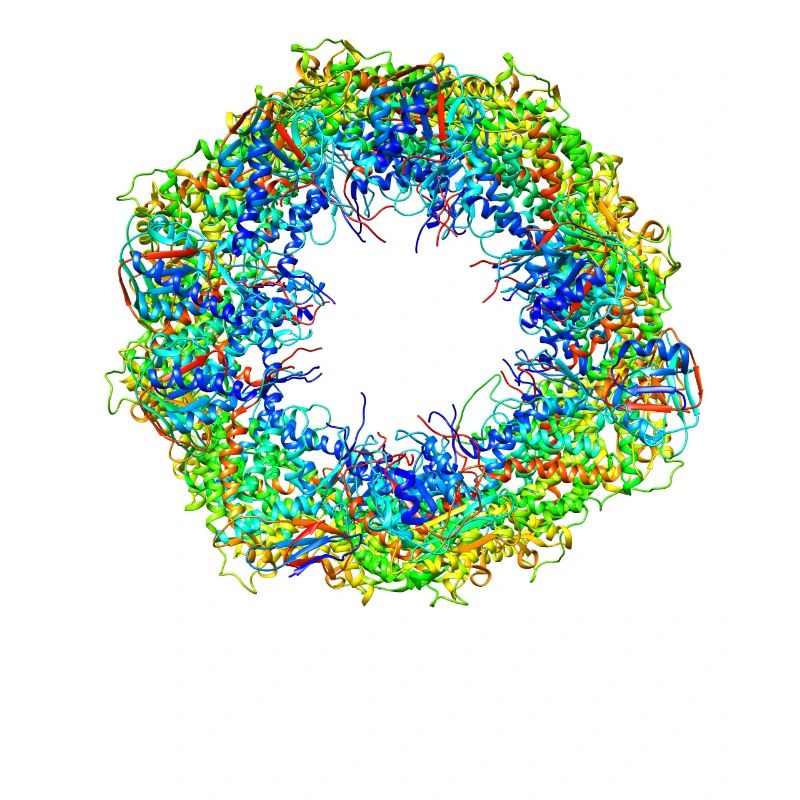 Structural biology chaperonin molecule