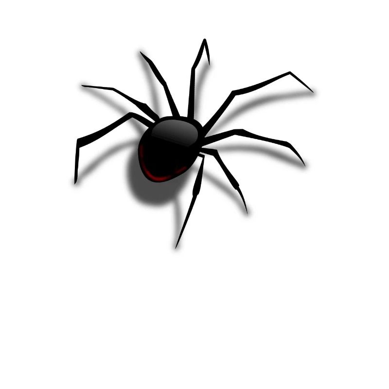 Gefährliche Spinne